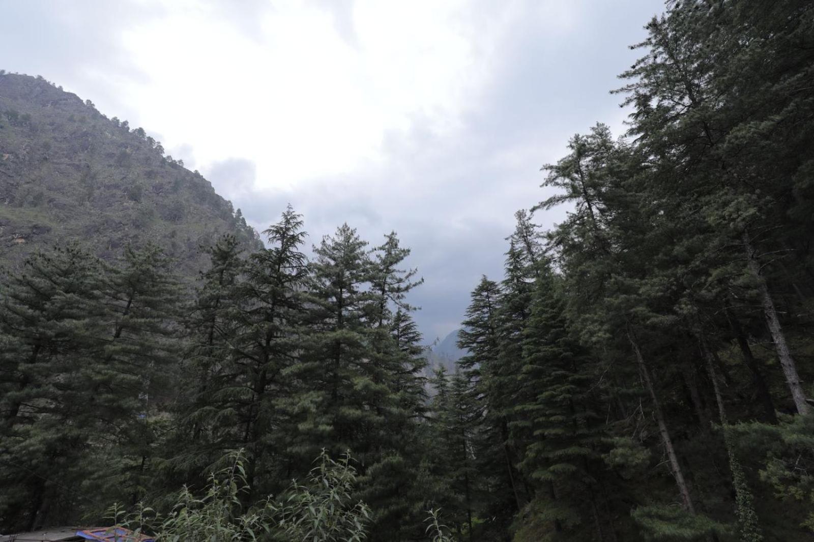 Shangri-La Rooms & Restaurant Kasol Exteriör bild